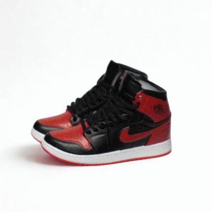 Labubu Jordan 1 SLAM DUNK Inspired Sneakers