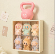 Clear Display Case