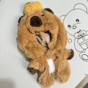 Handmade Labubu Capybara Onesie Outfit - Image 6